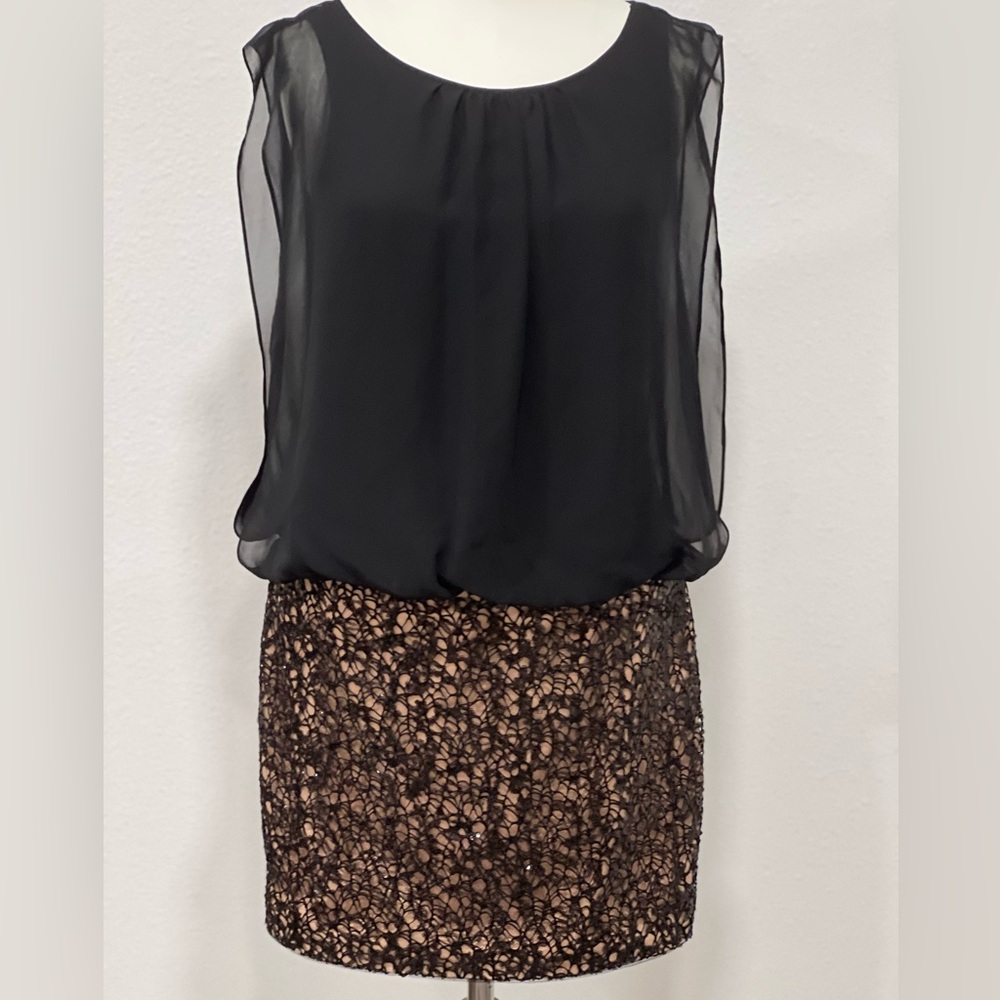 Elegant Black and Brown Mini Dress